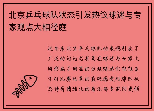 北京乒乓球队状态引发热议球迷与专家观点大相径庭